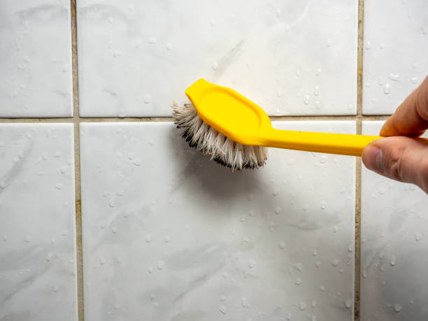 Best Fast Mold Removal  in Kana, UT
