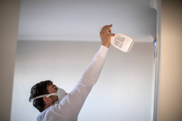Best Mold Damage Repair  in Kana, UT
