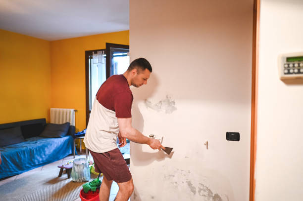 Mold Testing and Removal in Kana, UT