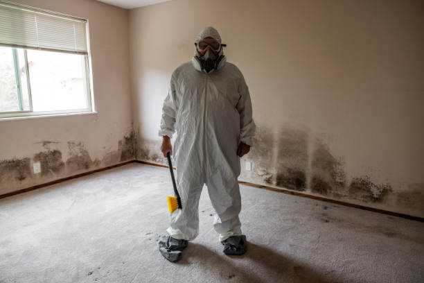 Best Local Mold Removal Service  in Kana, UT