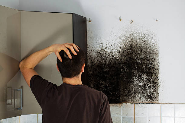 Best Crawl Space Mold Removal  in Kana, UT